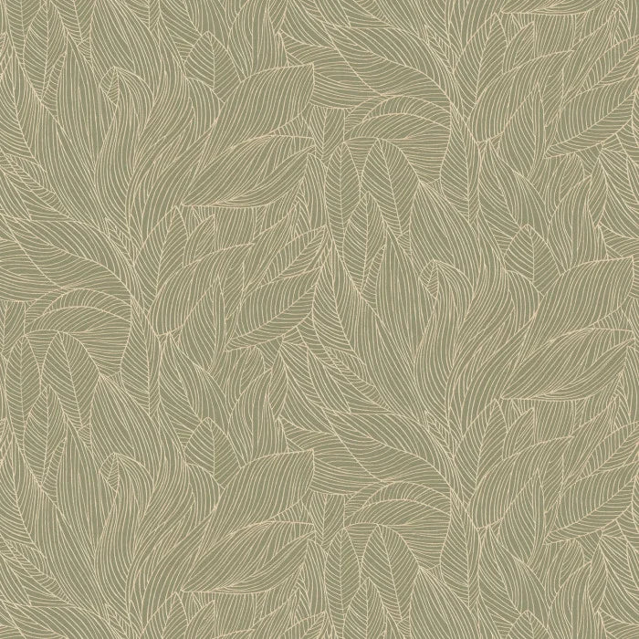 WALLPAPER