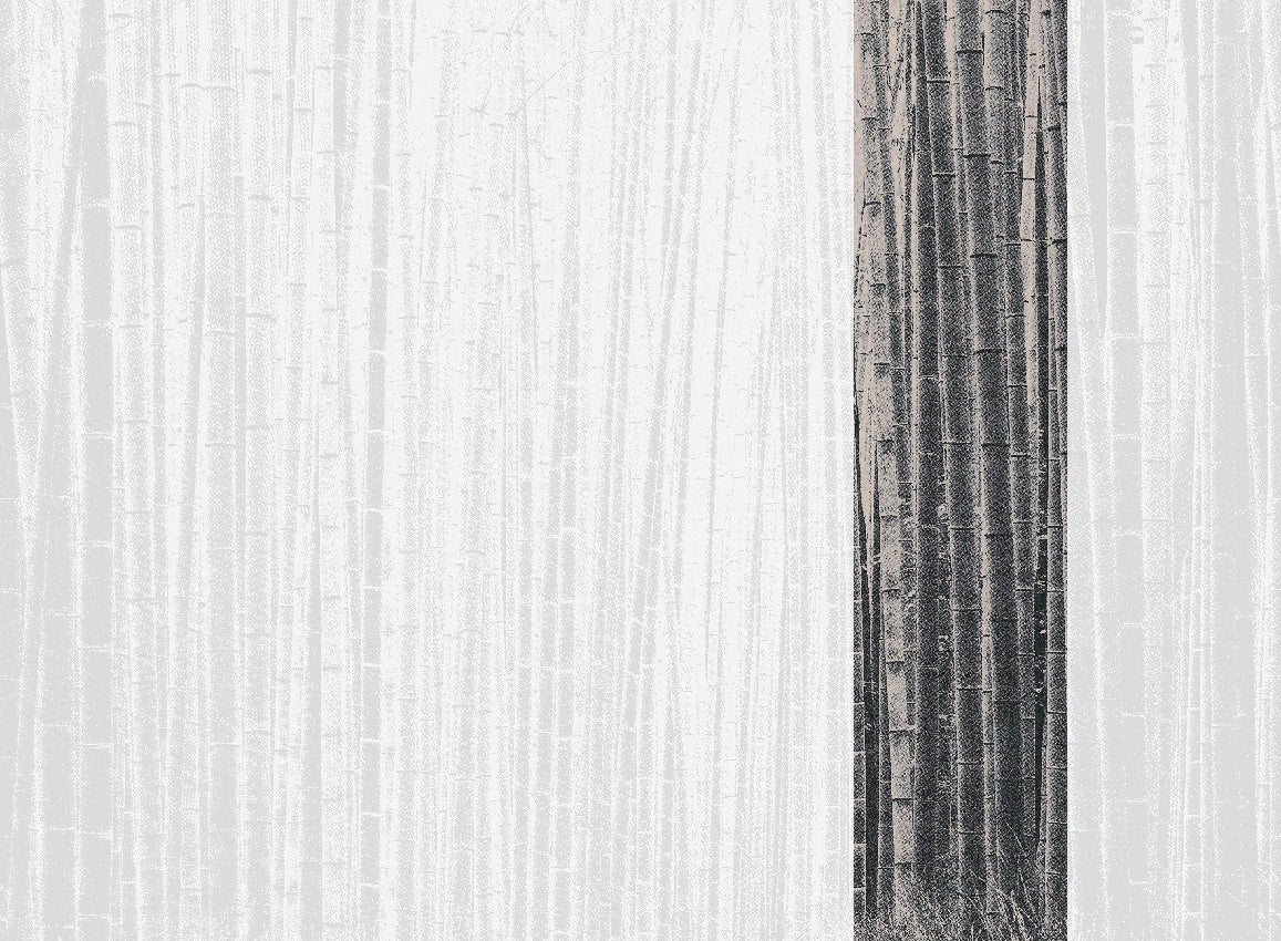 WALLCOVERING