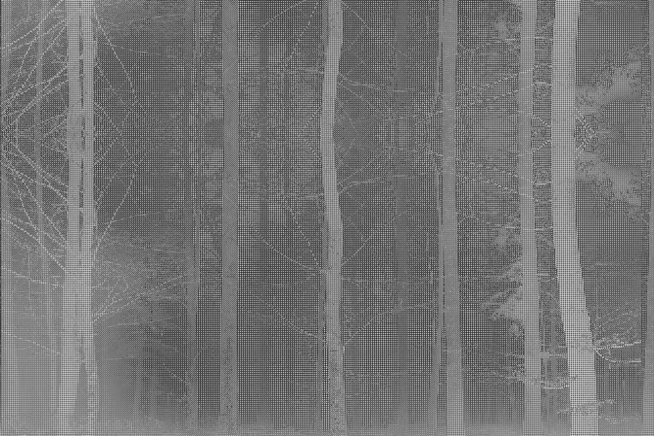 WALLPAPER