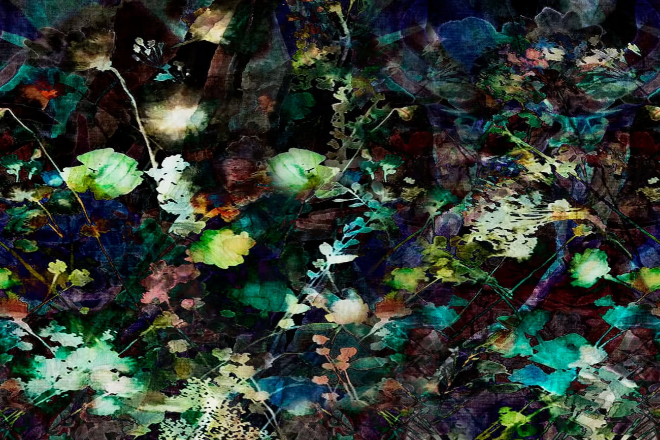 WALLPAPER