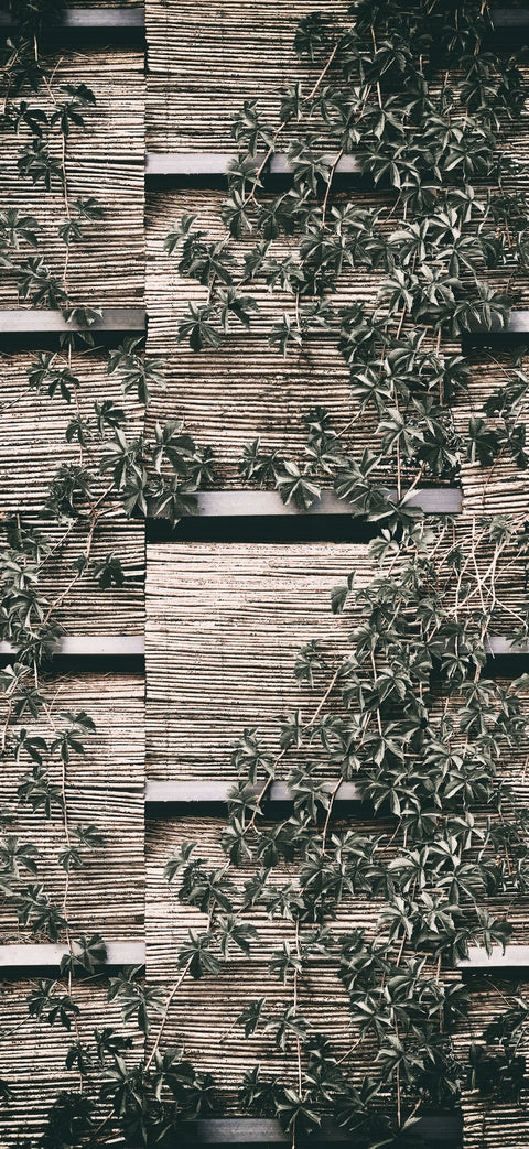 WALLPAPER