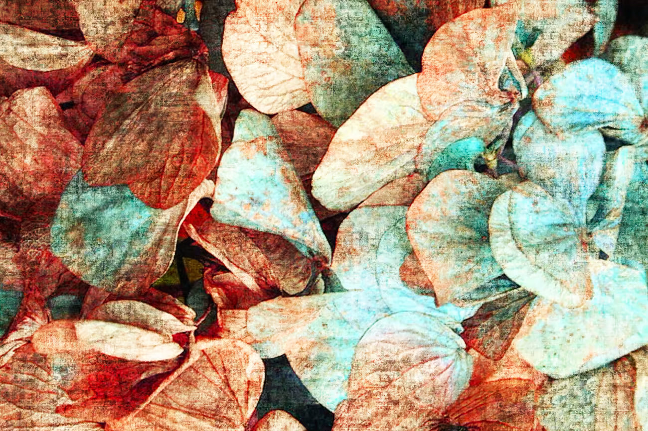 WALLPAPER