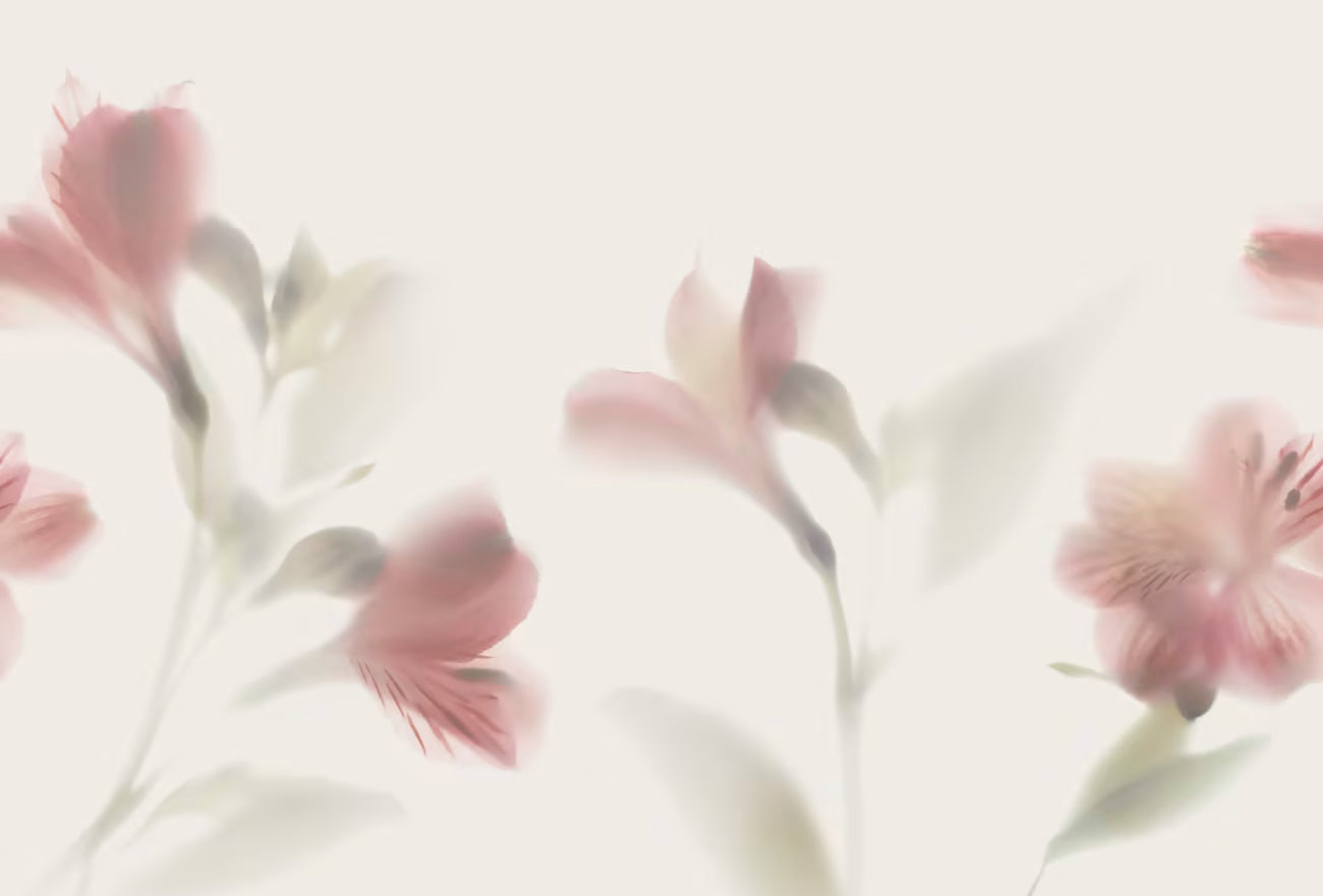 WALLPAPER