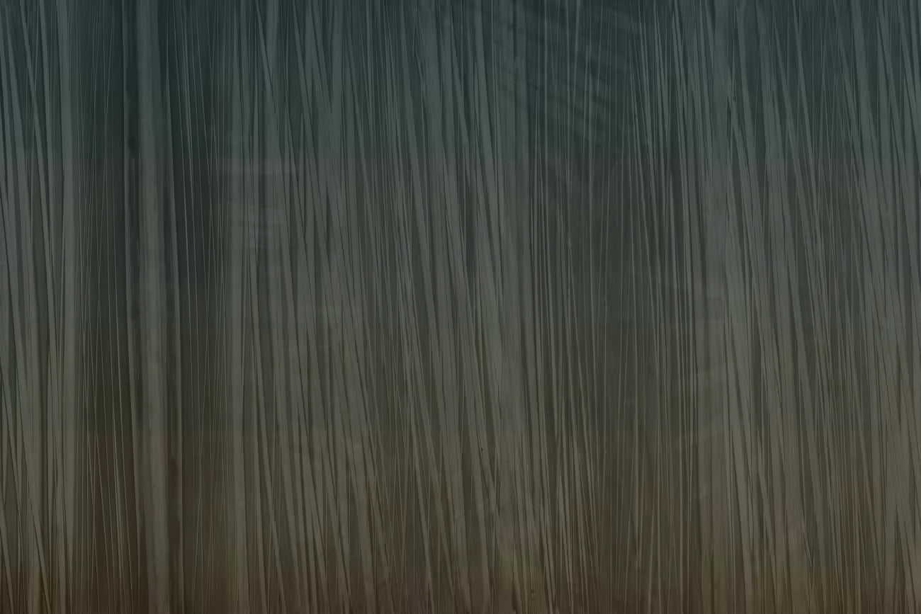 WALLPAPER