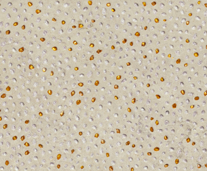 CERAMIC TILES
