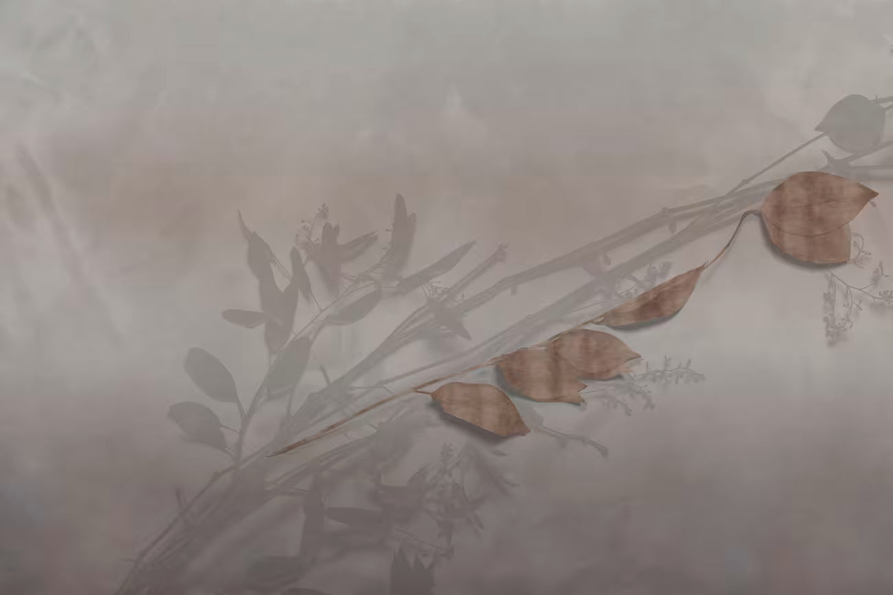 WALLPAPER