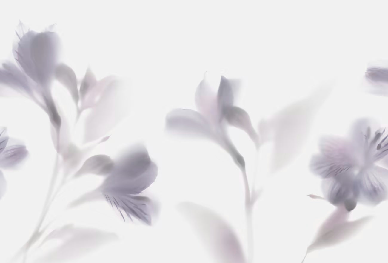 WALLPAPER
