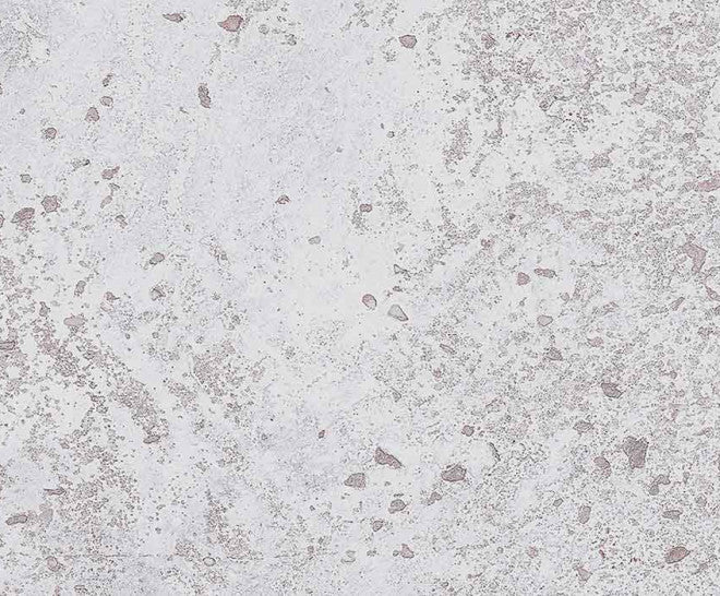 CERAMIC TILES