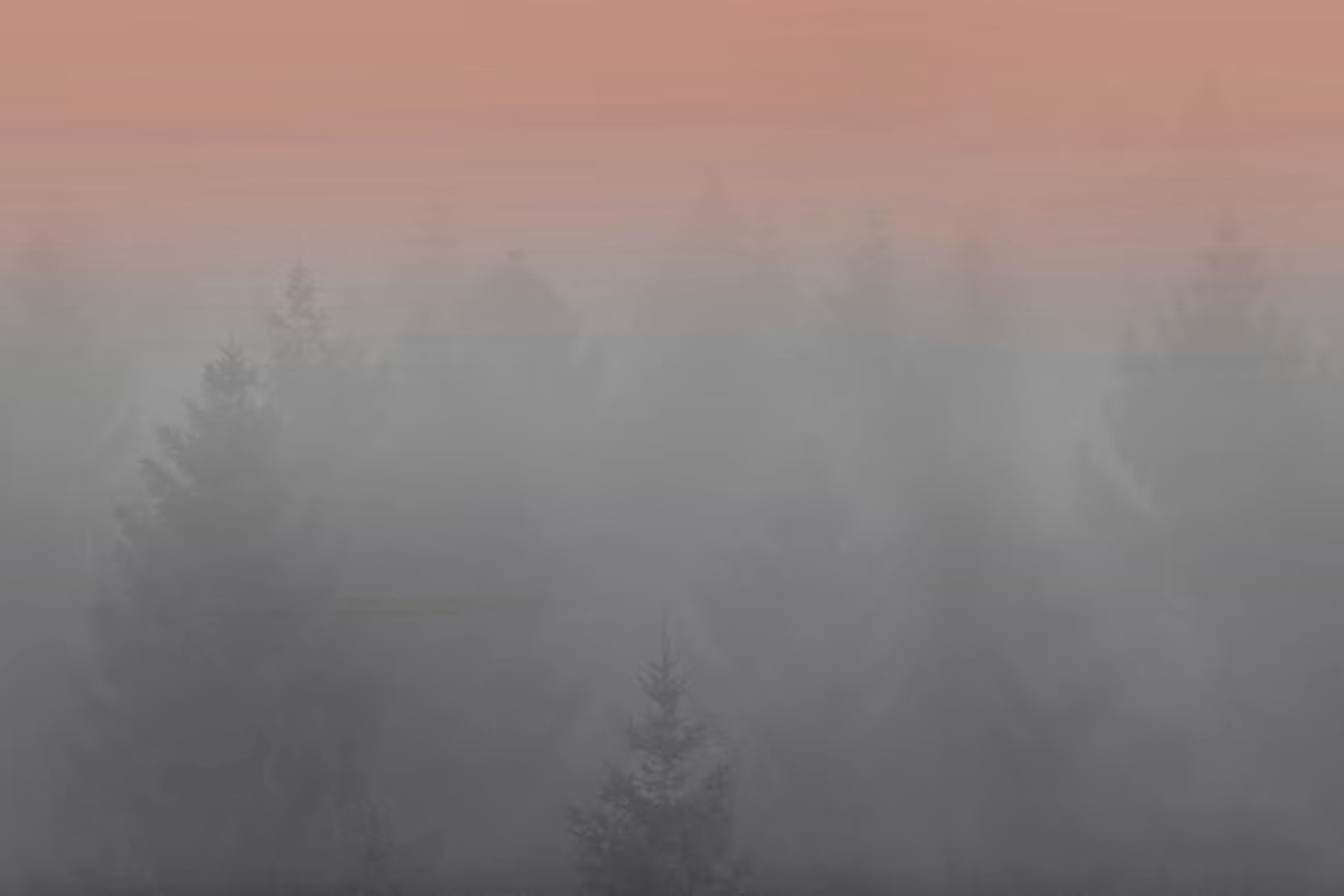WALLPAPER