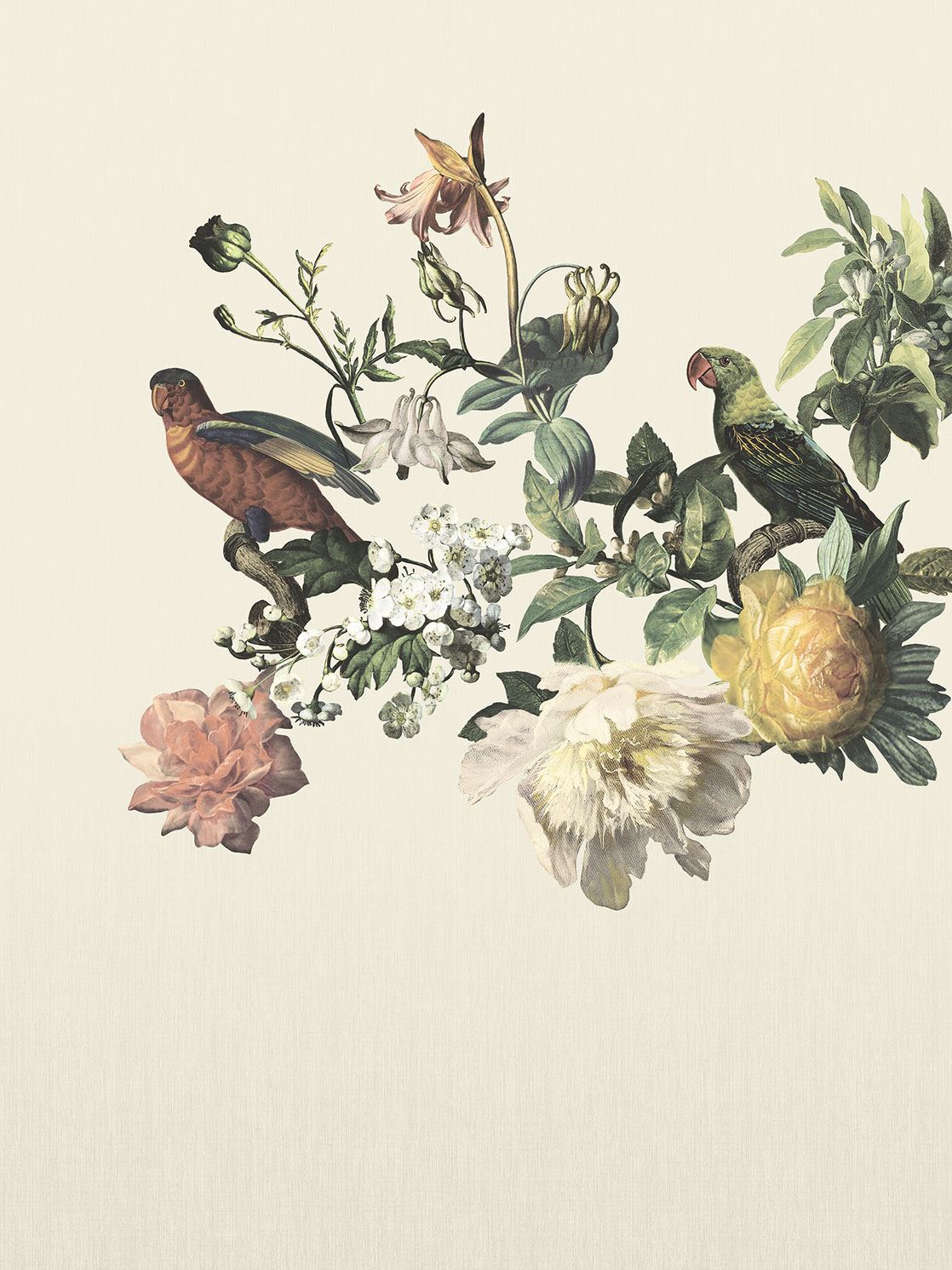 WALLPAPER