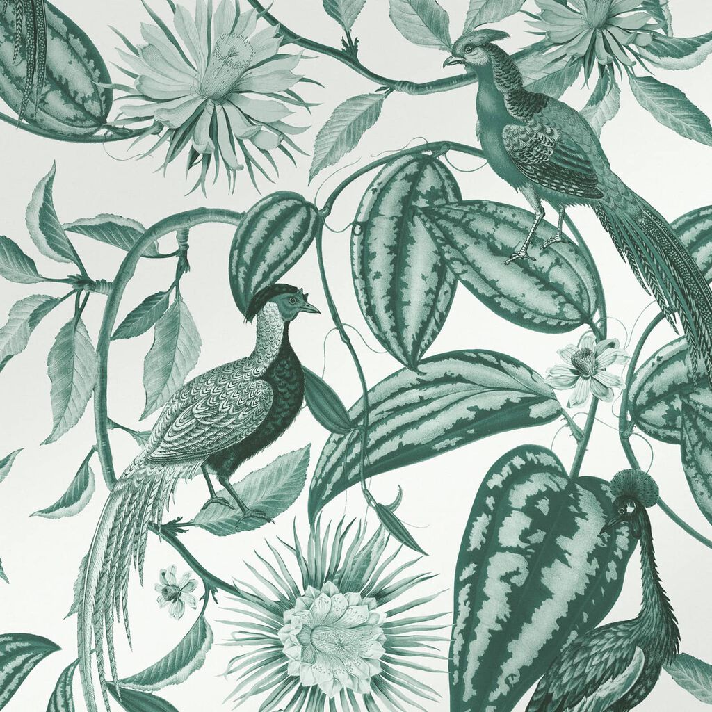 WALLPAPER