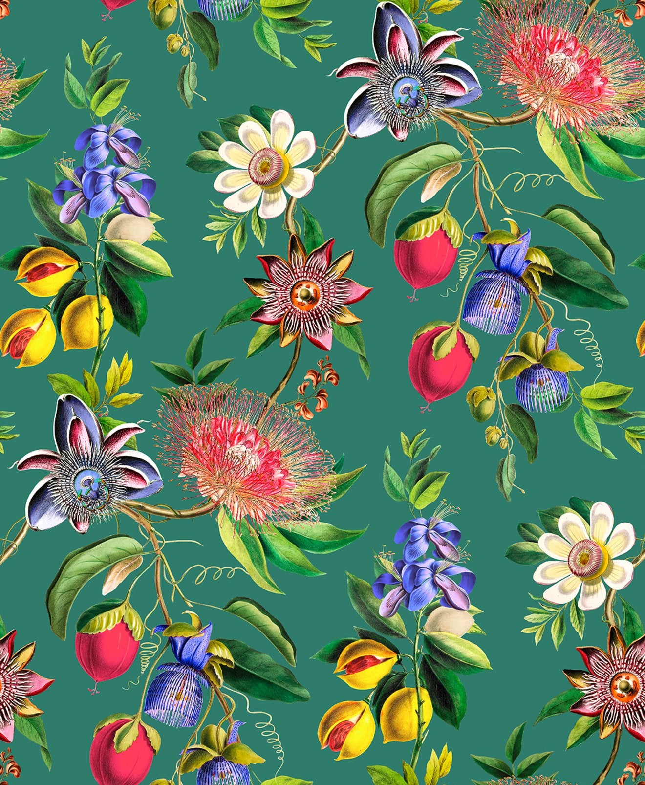 WALLPAPER