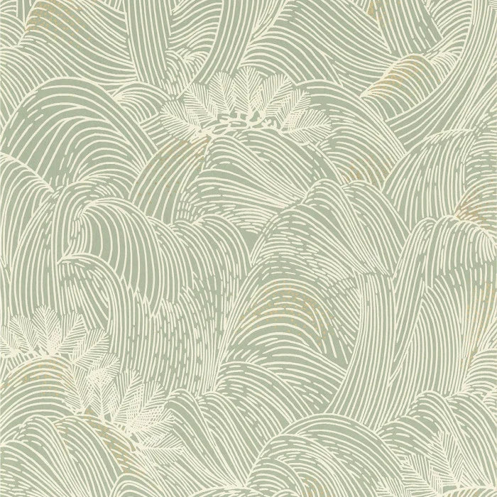 WALLPAPER