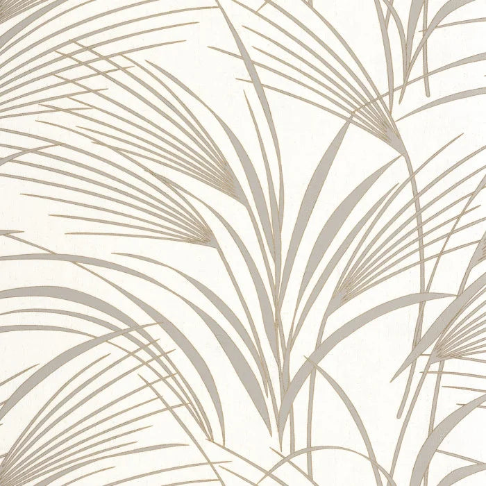 WALLPAPER