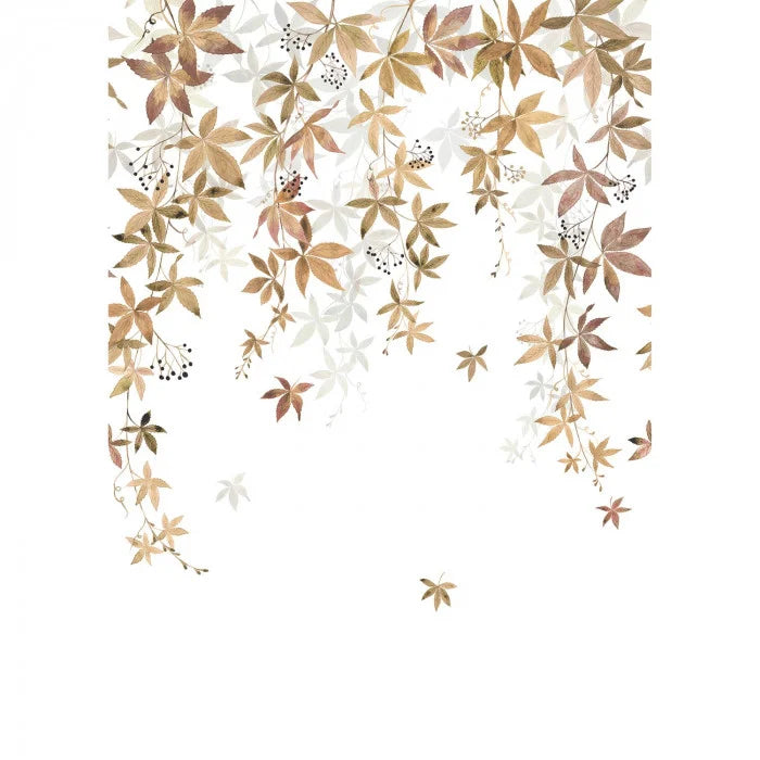 WALLPAPER