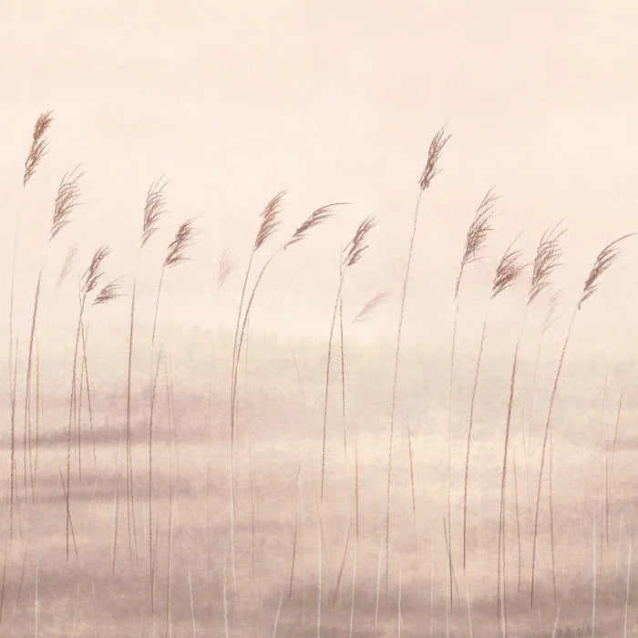 WALLPAPER