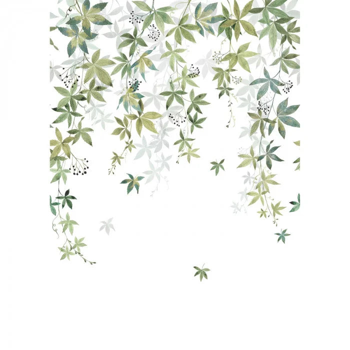WALLPAPER