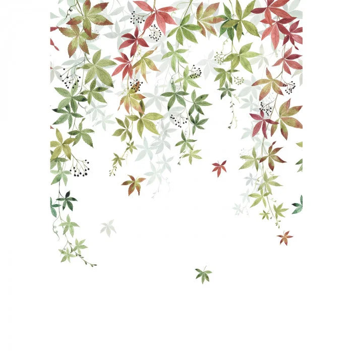 WALLPAPER