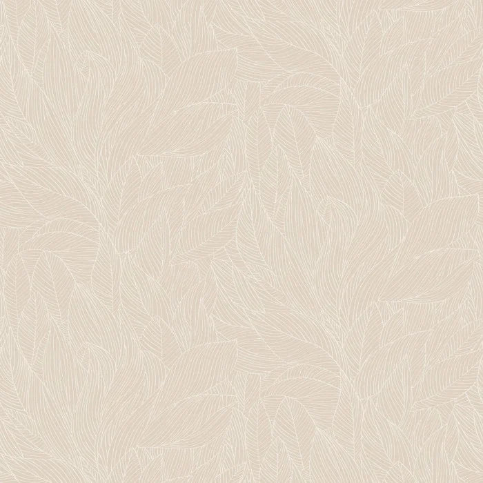 WALLPAPER