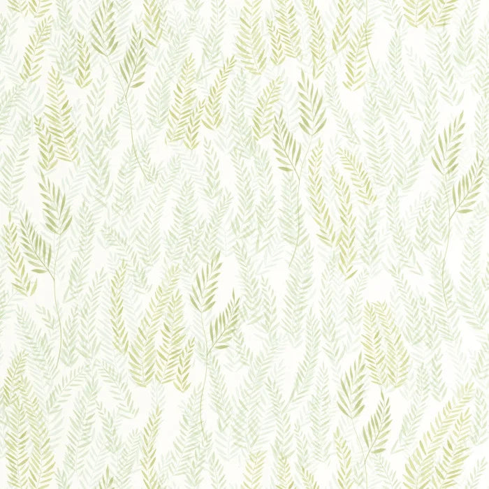 WALLPAPER