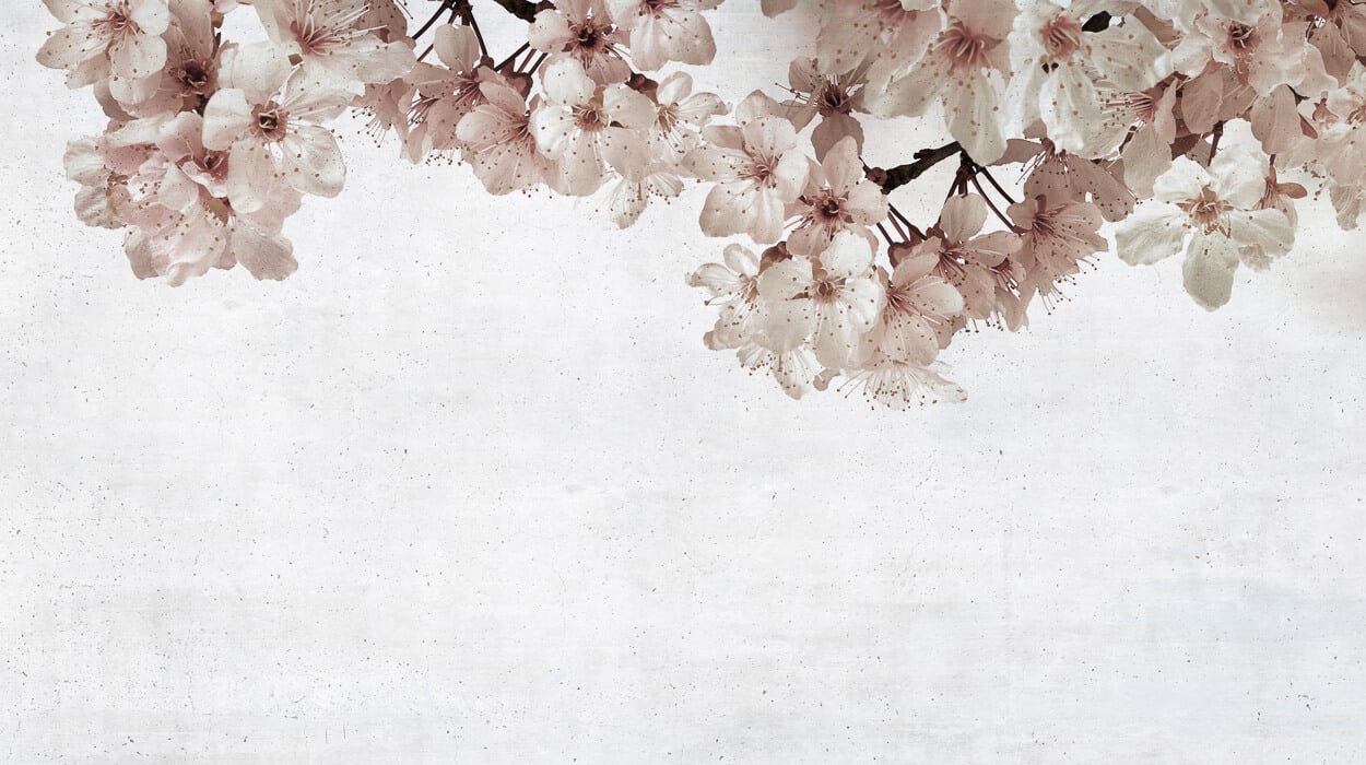 WALLPAPER