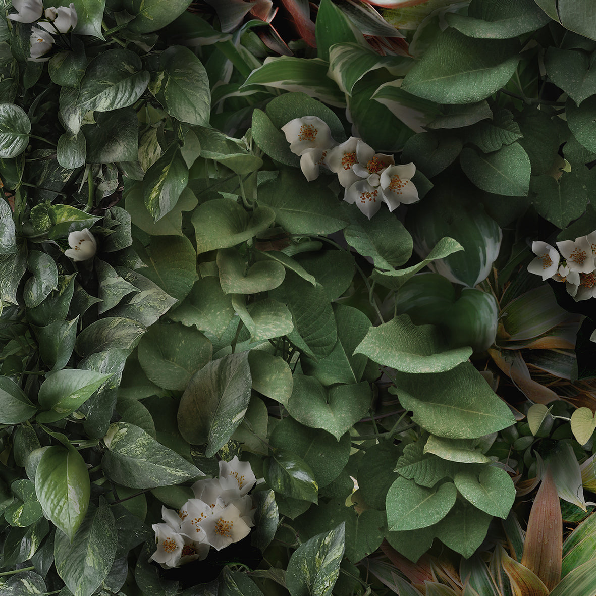 CERAMIC TILES
