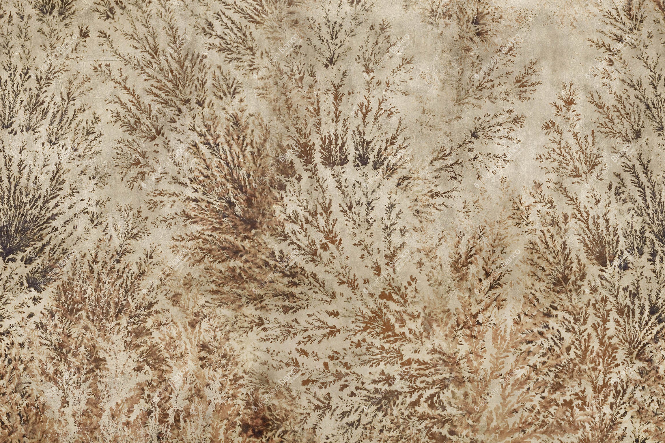 WALLPAPER