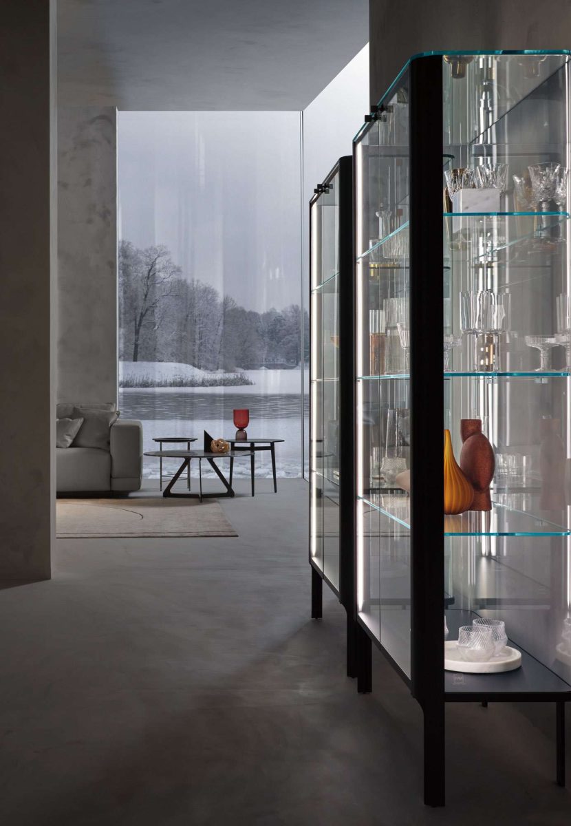 SHOWCASES AND CUPBOARDS