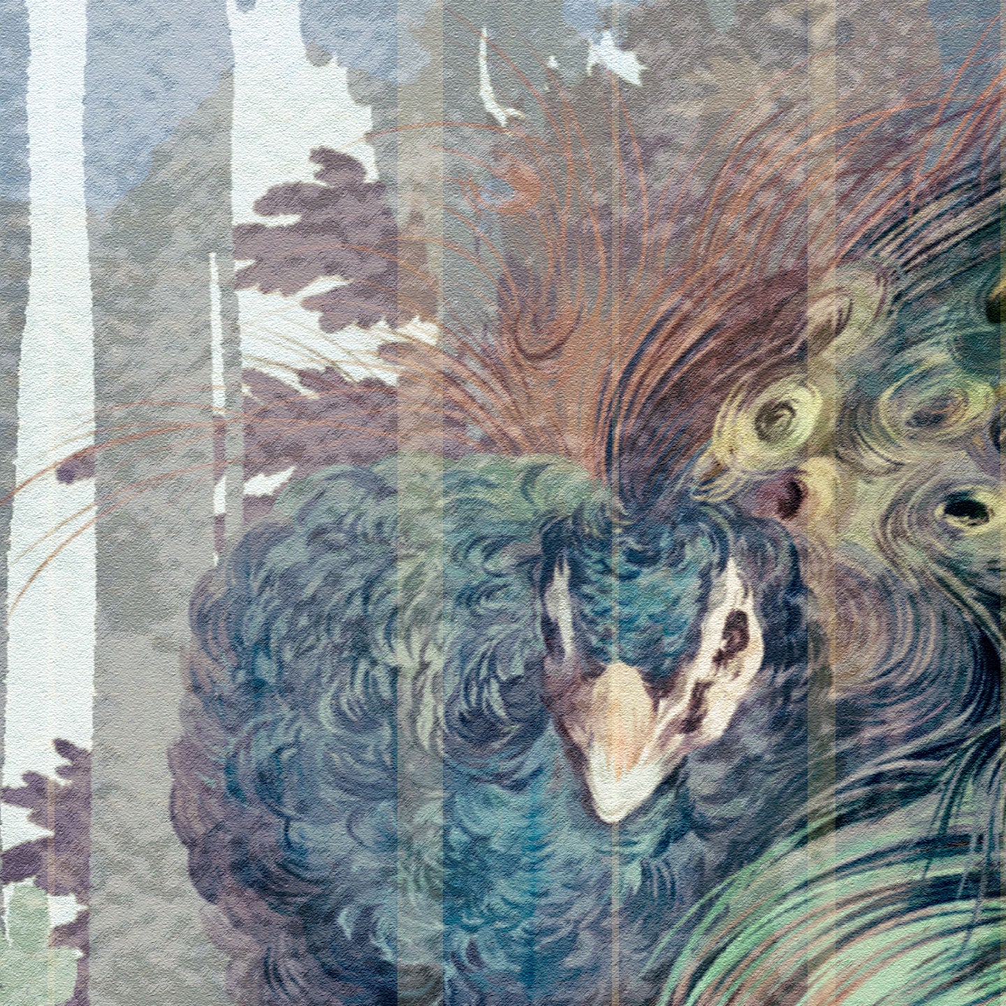 WALLPAPER