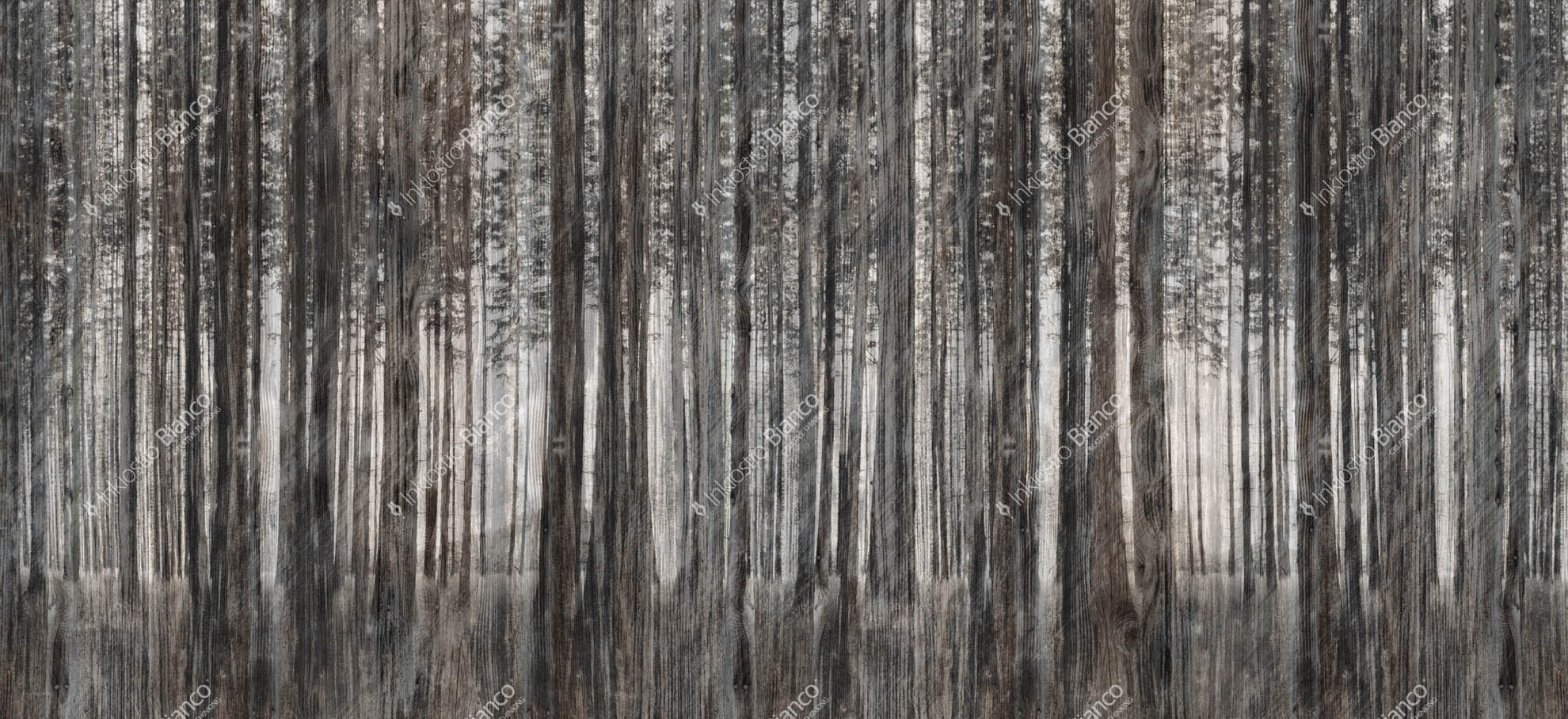 WALLPAPER
