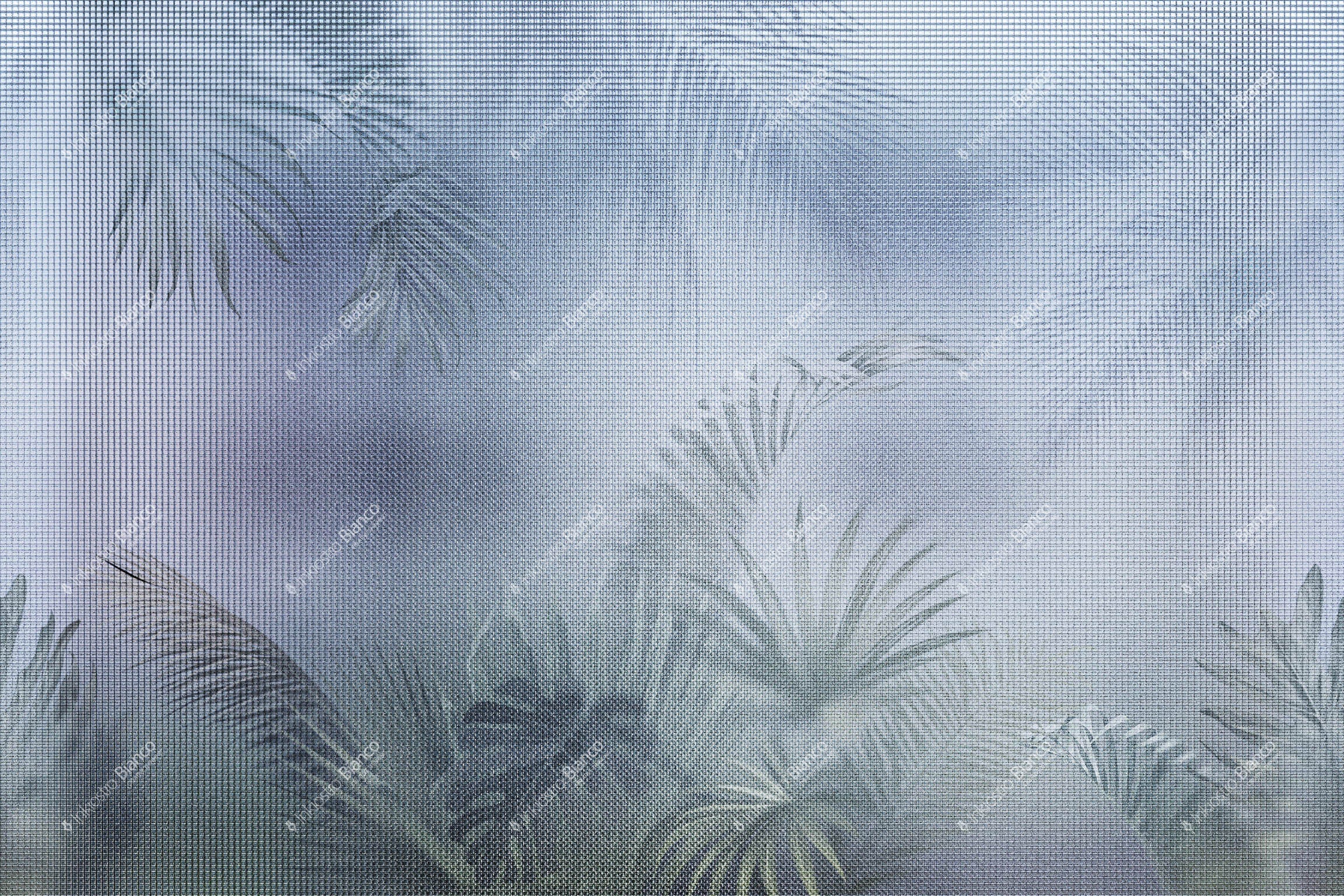 WALLPAPER