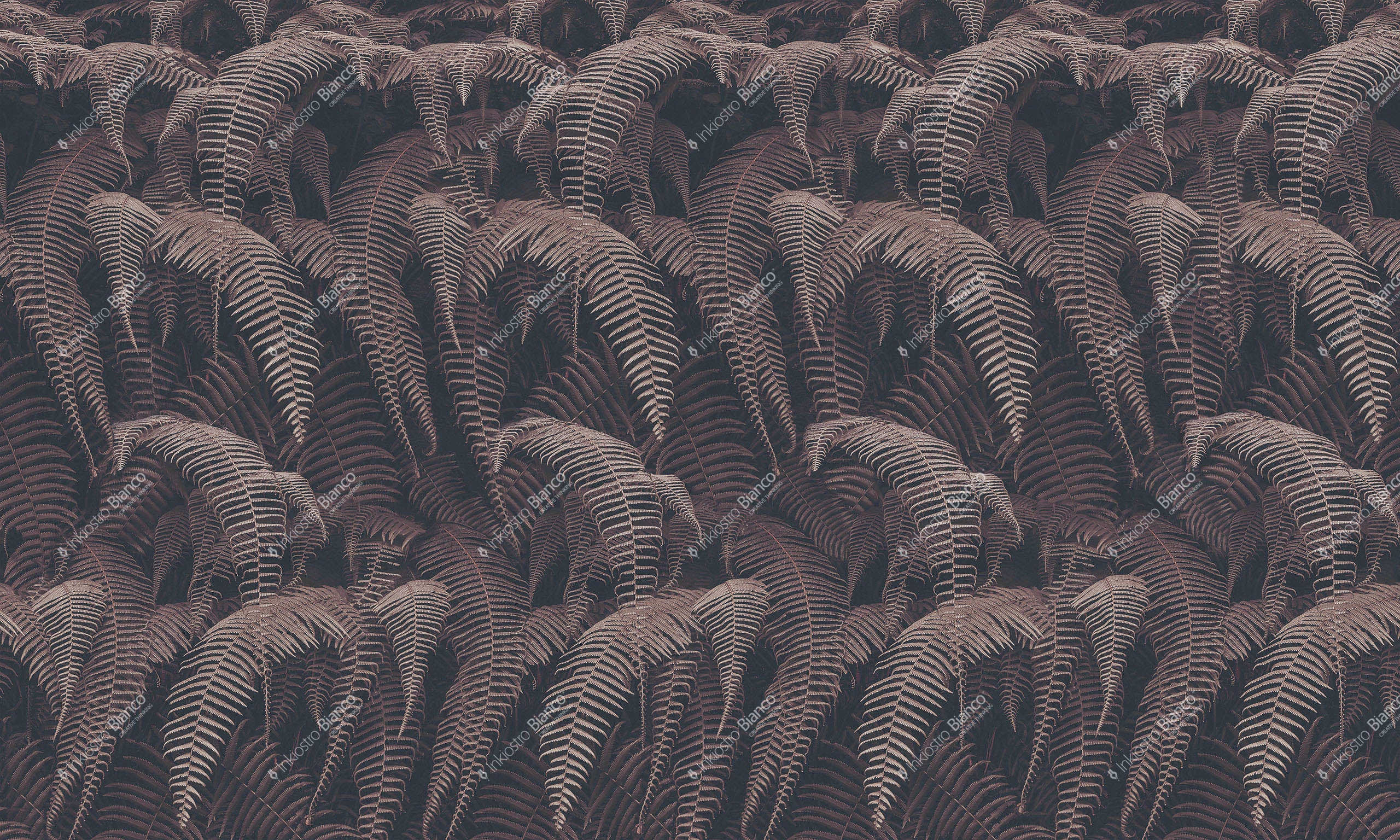 WALLPAPER
