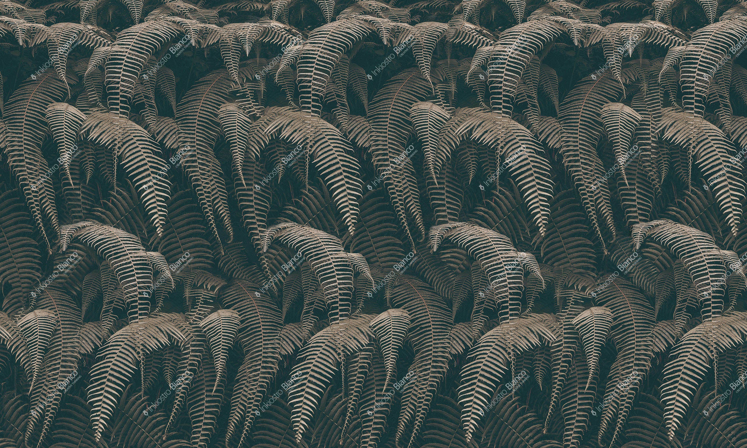 WALLPAPER