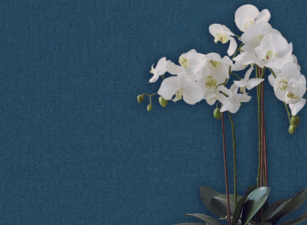 WALLCOVERING