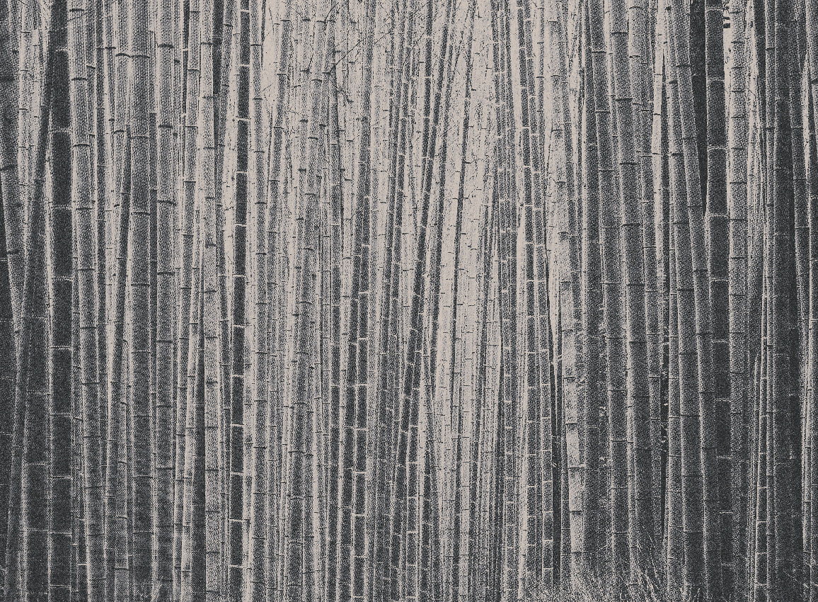 WALLCOVERING