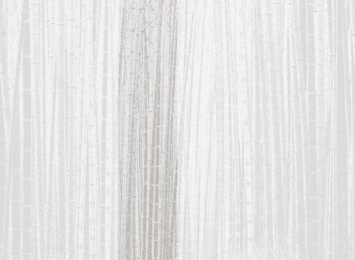 WALLCOVERING