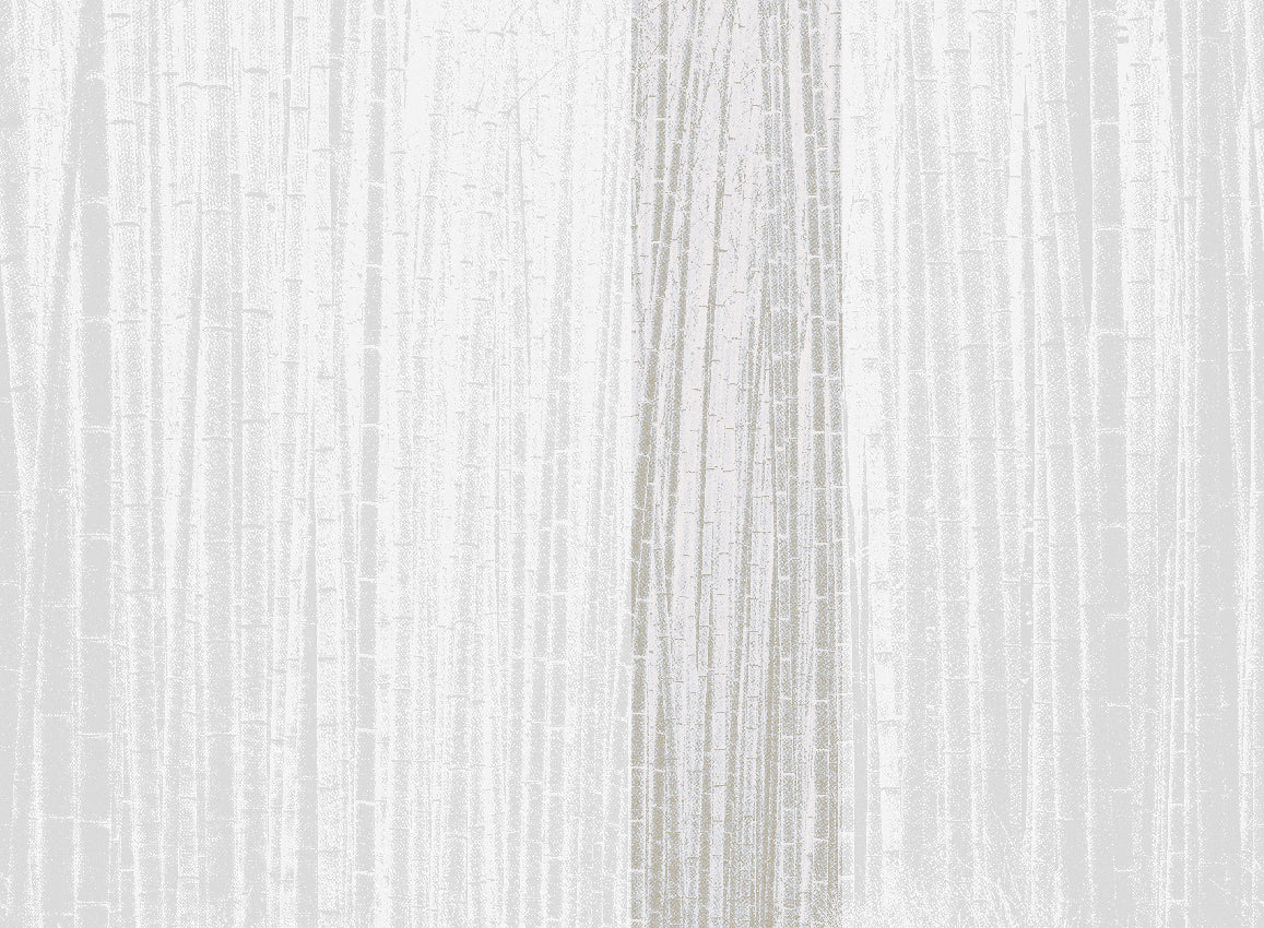 WALLCOVERING