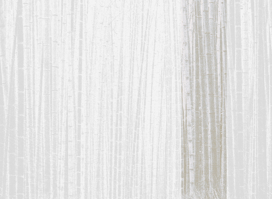 WALLCOVERING