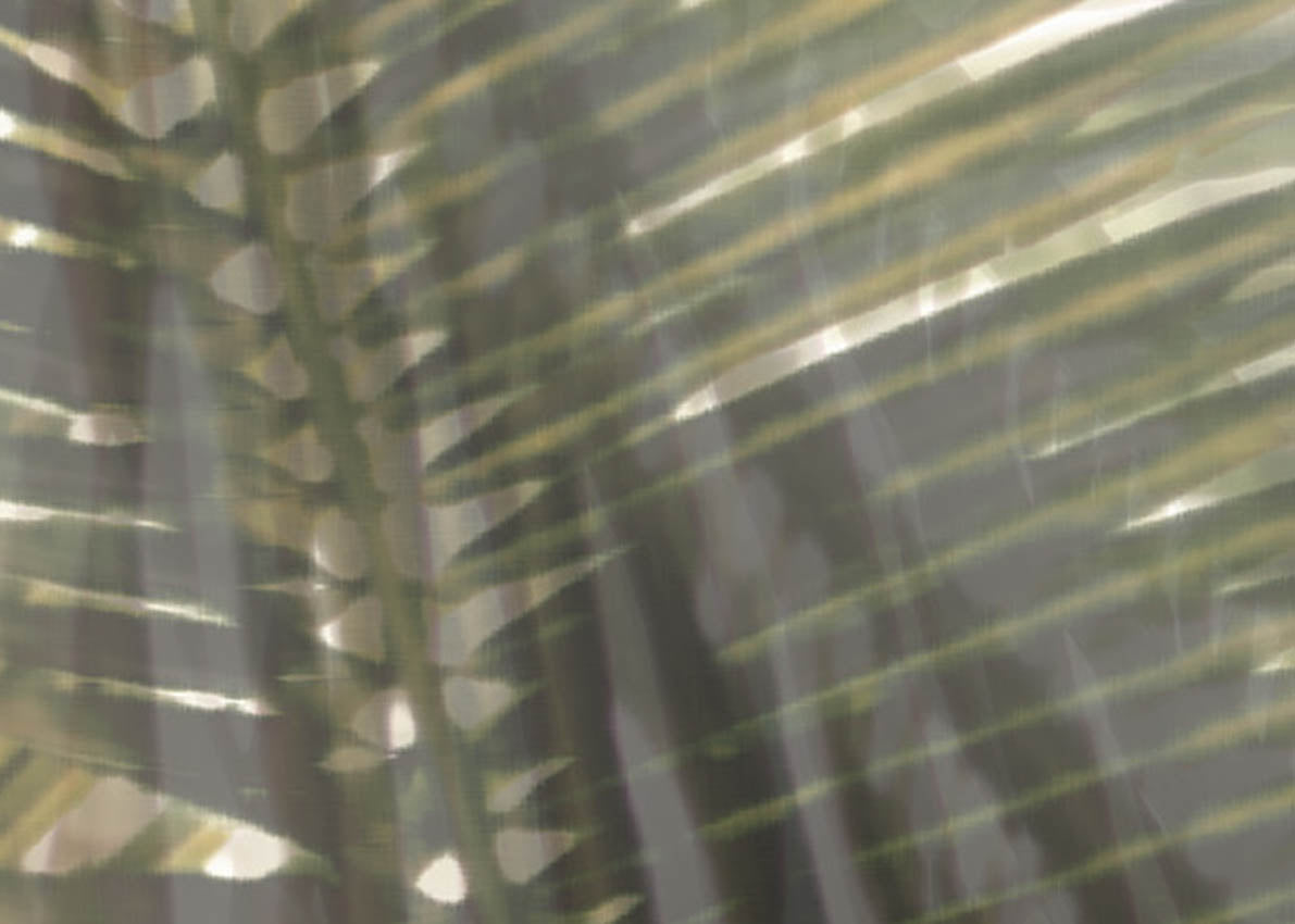 WALLCOVERING