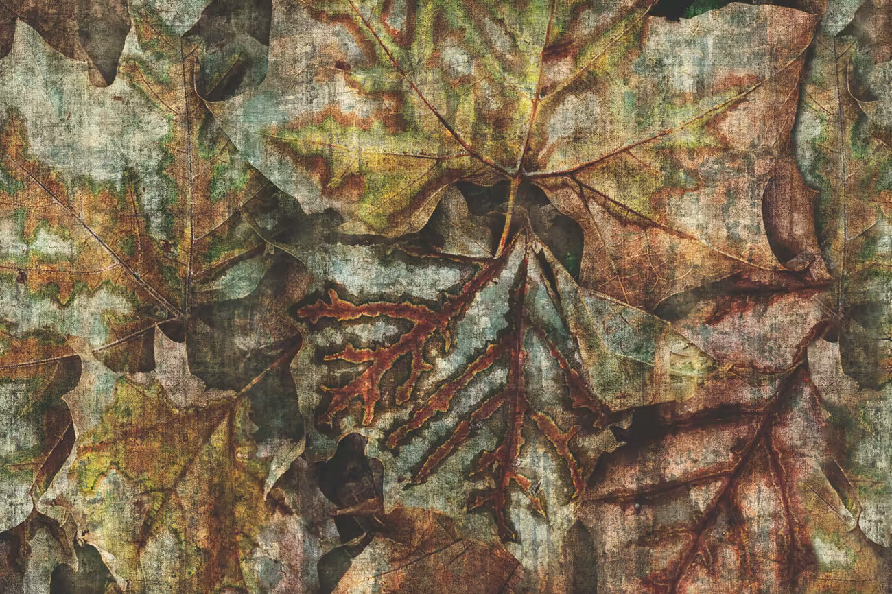 WALLPAPER