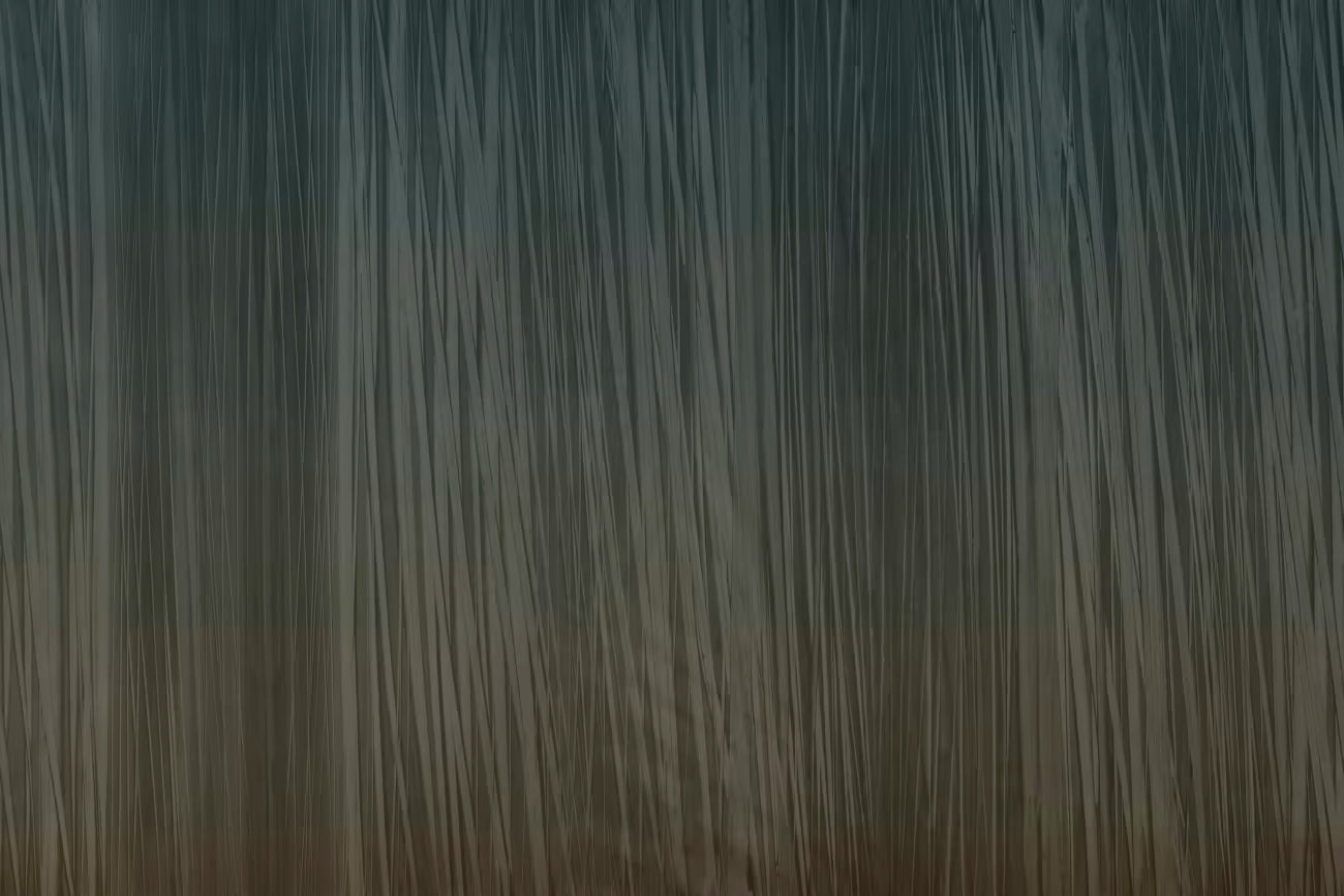 WALLPAPER