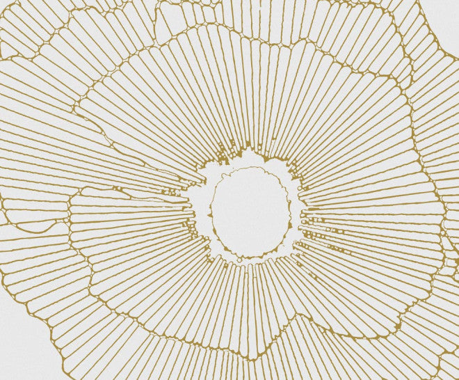 CERAMIC TILES