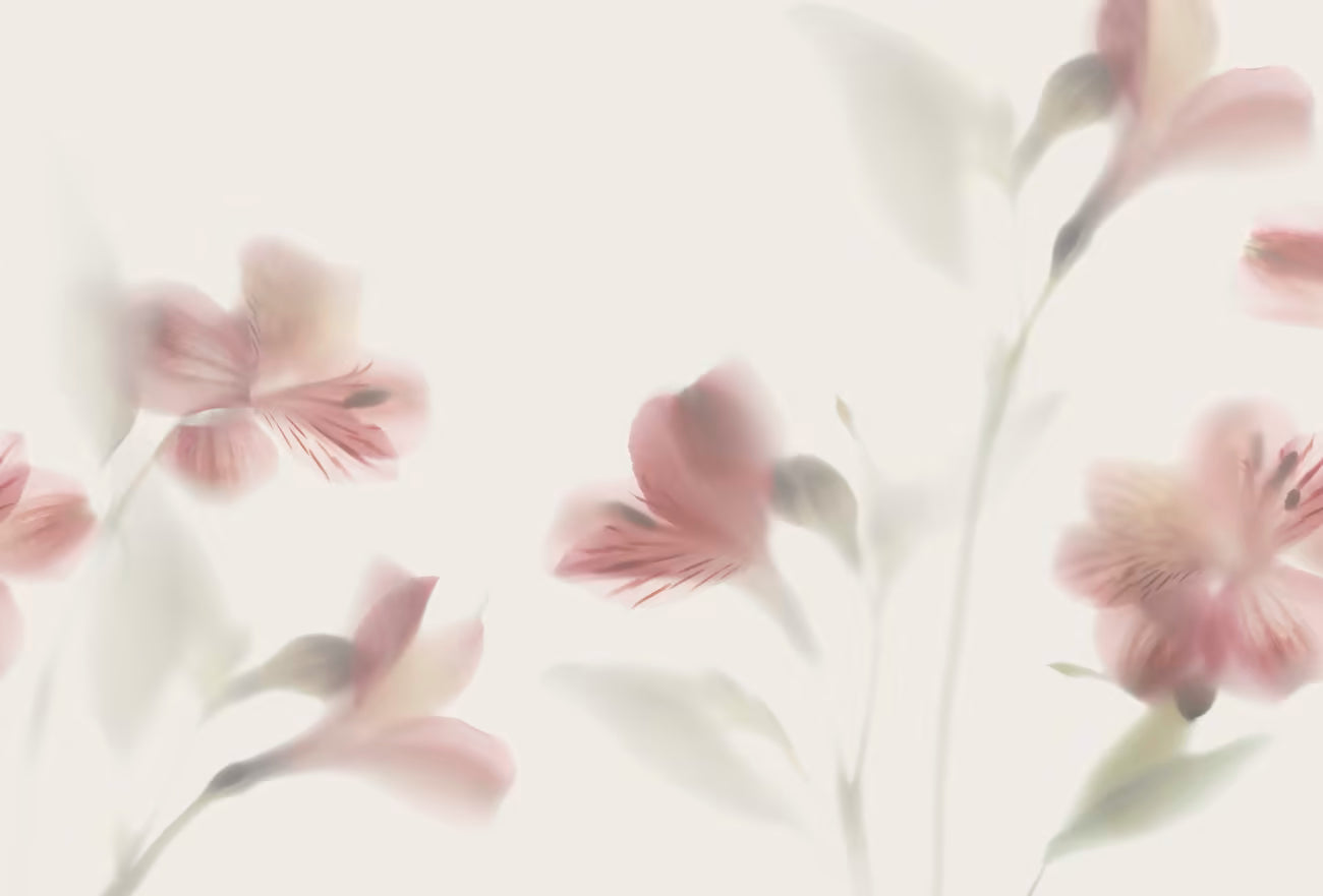 WALLPAPER