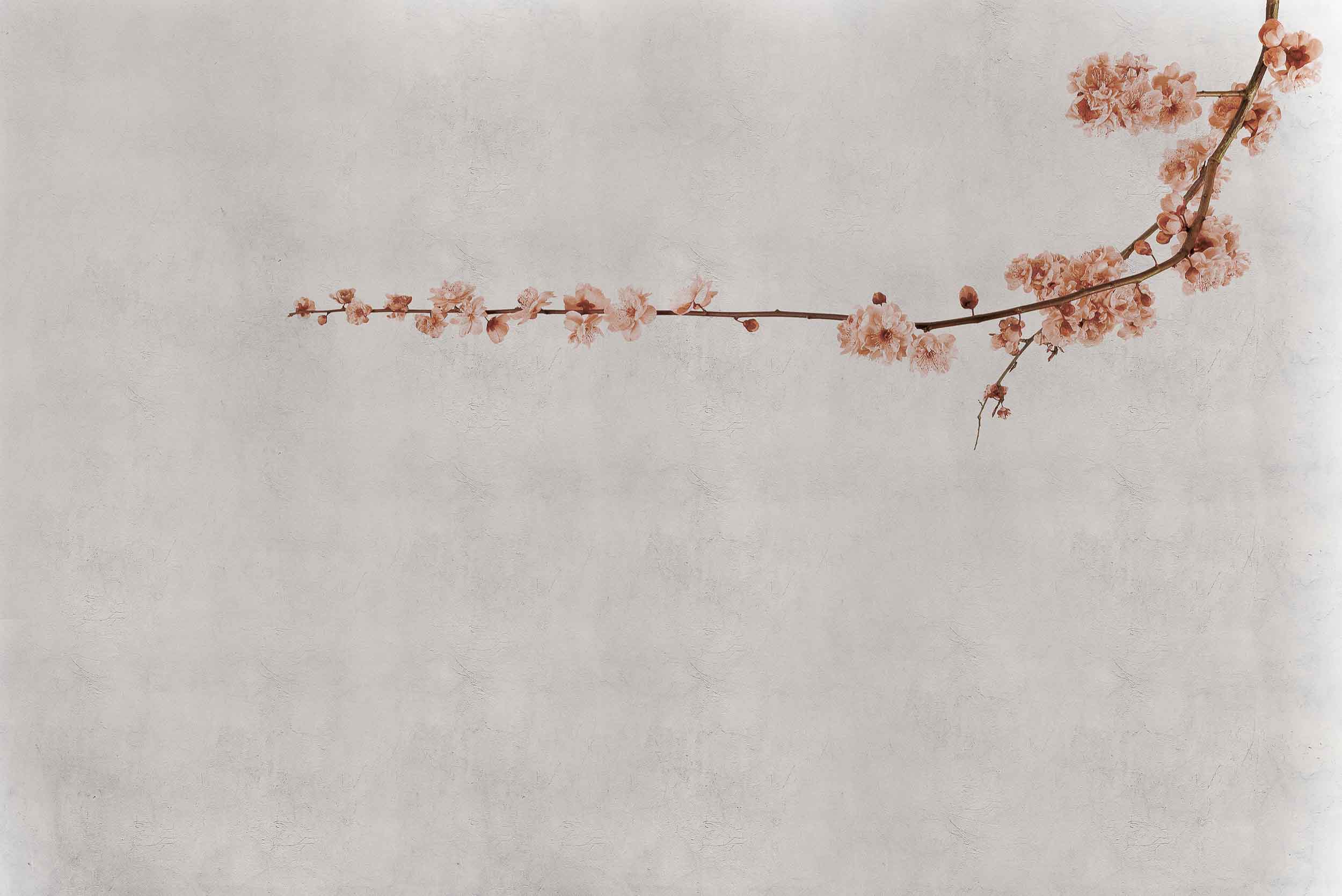 WALLPAPER