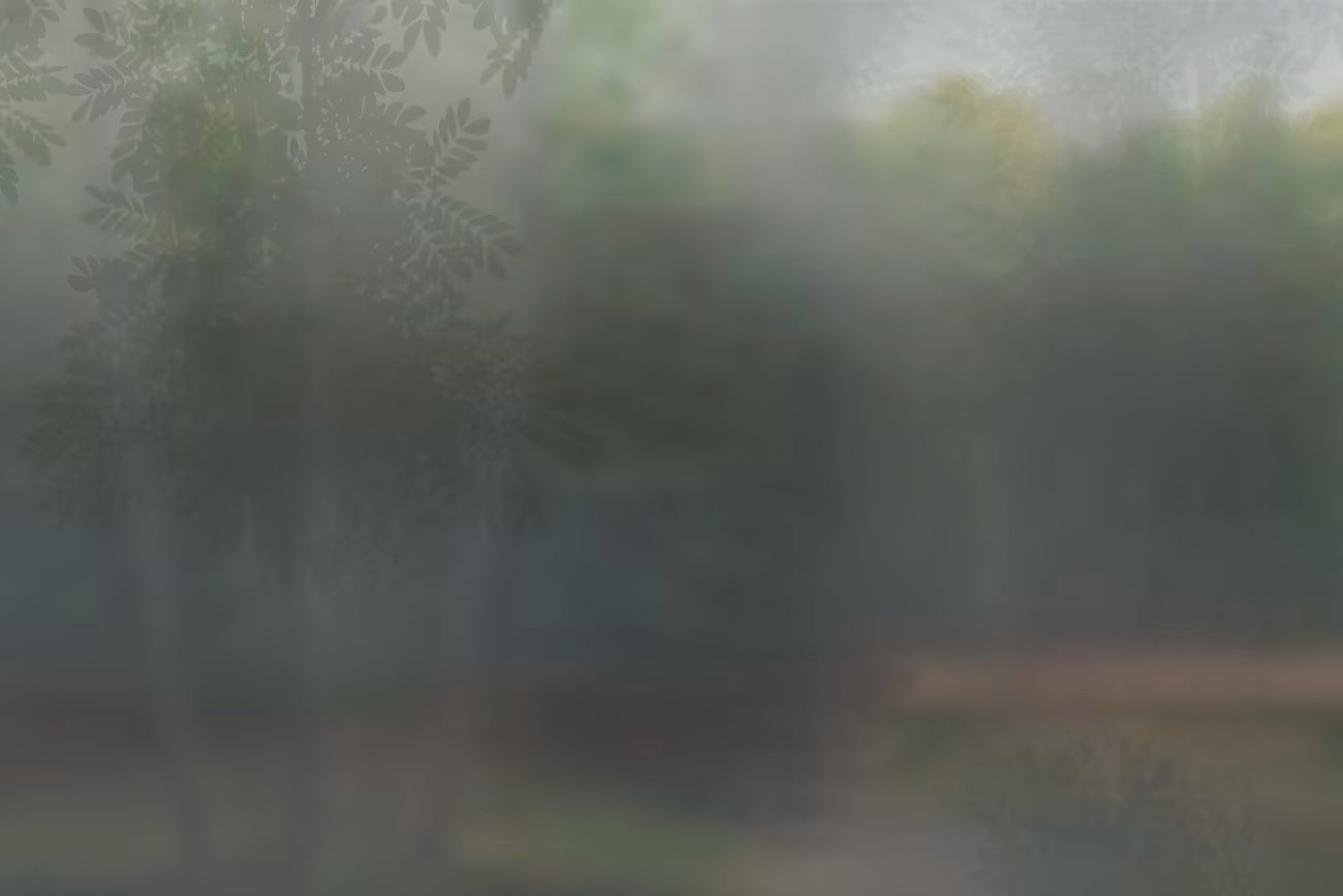 WALLPAPER