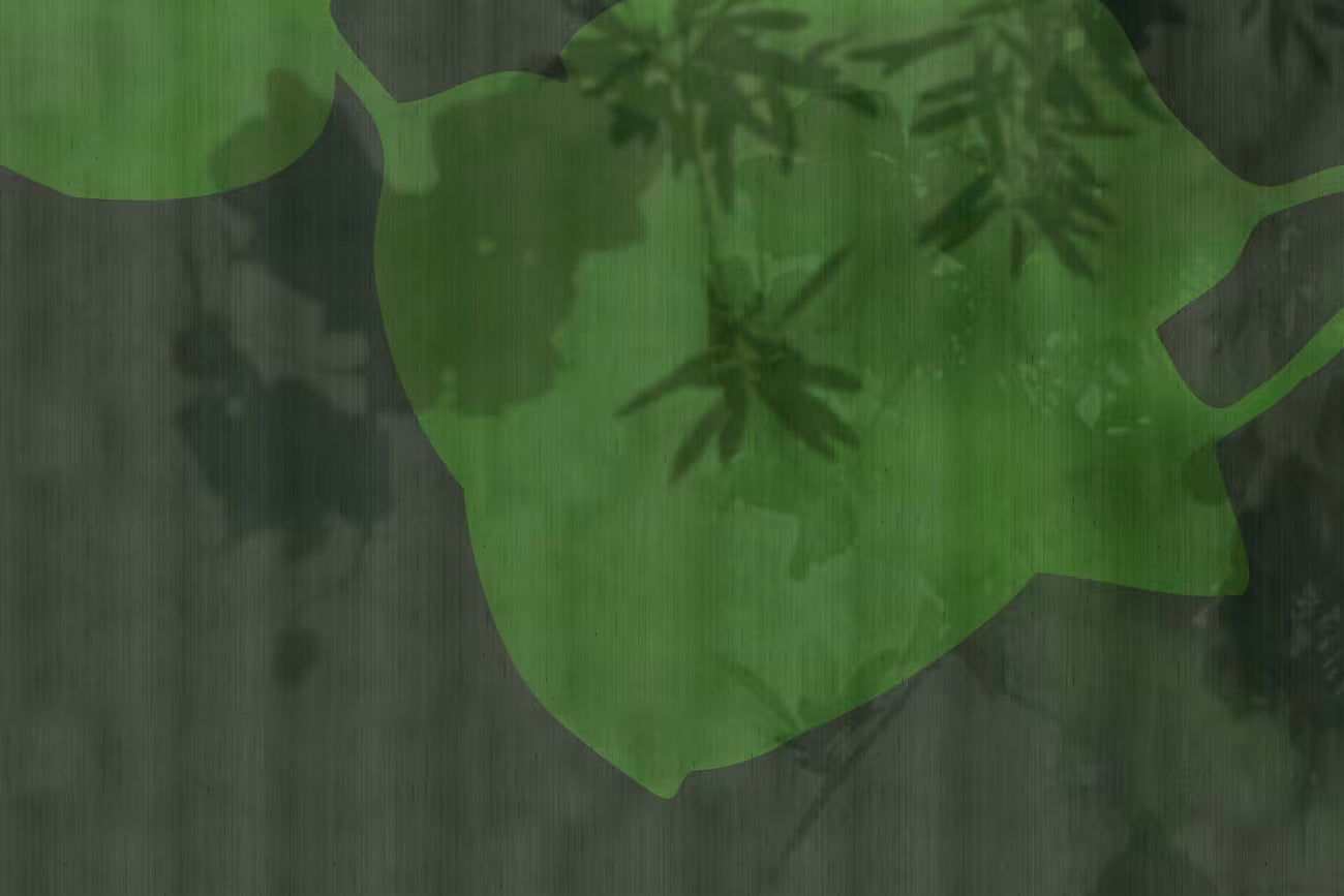 WALLPAPER