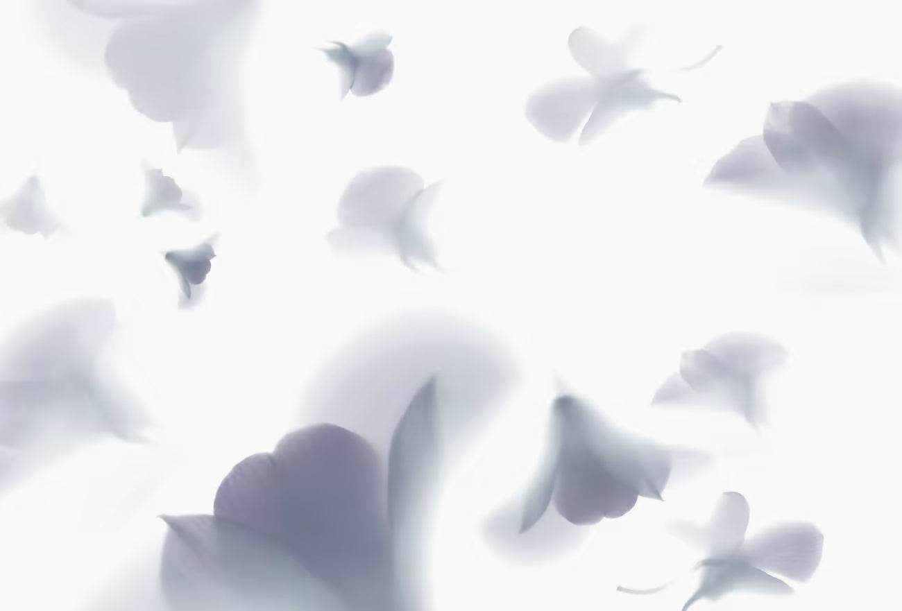 WALLPAPER