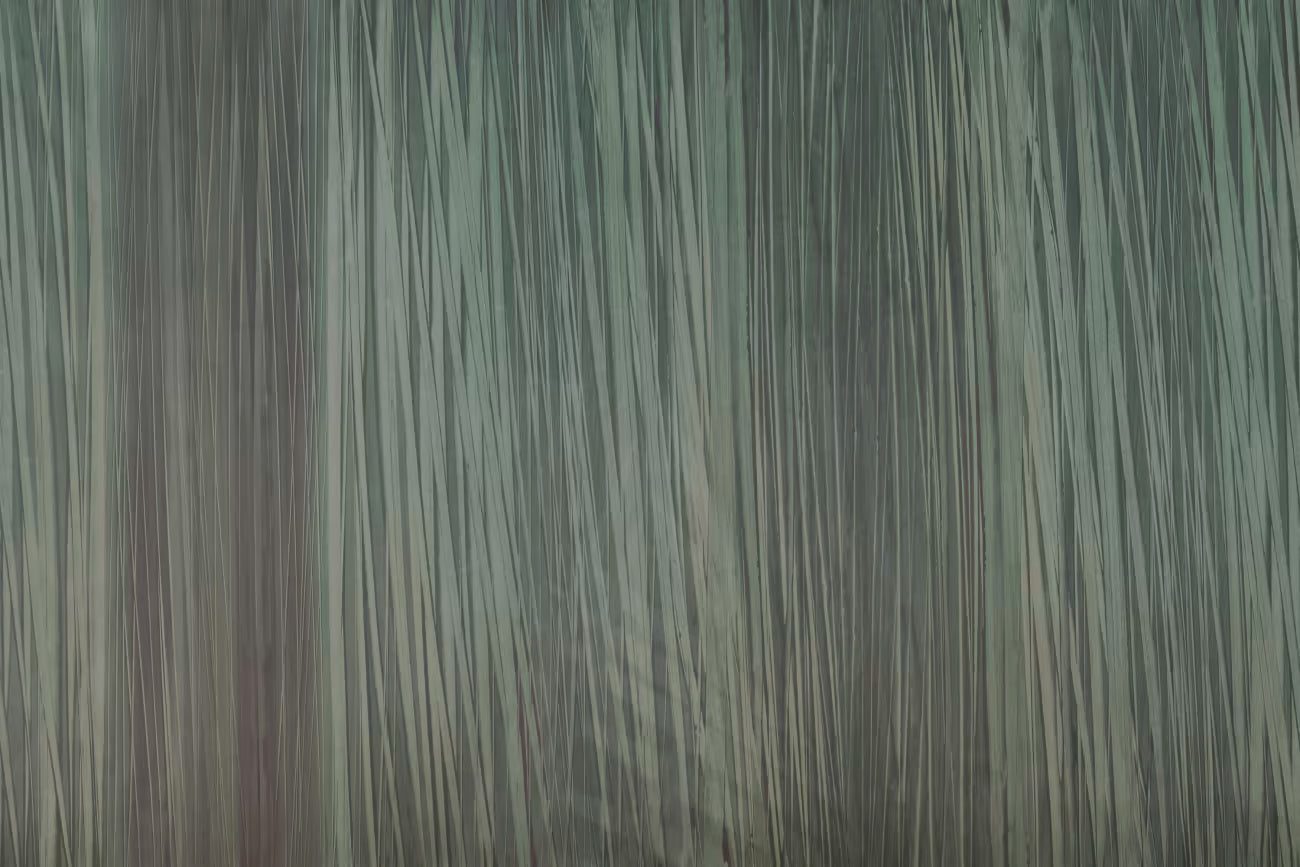 WALLPAPER