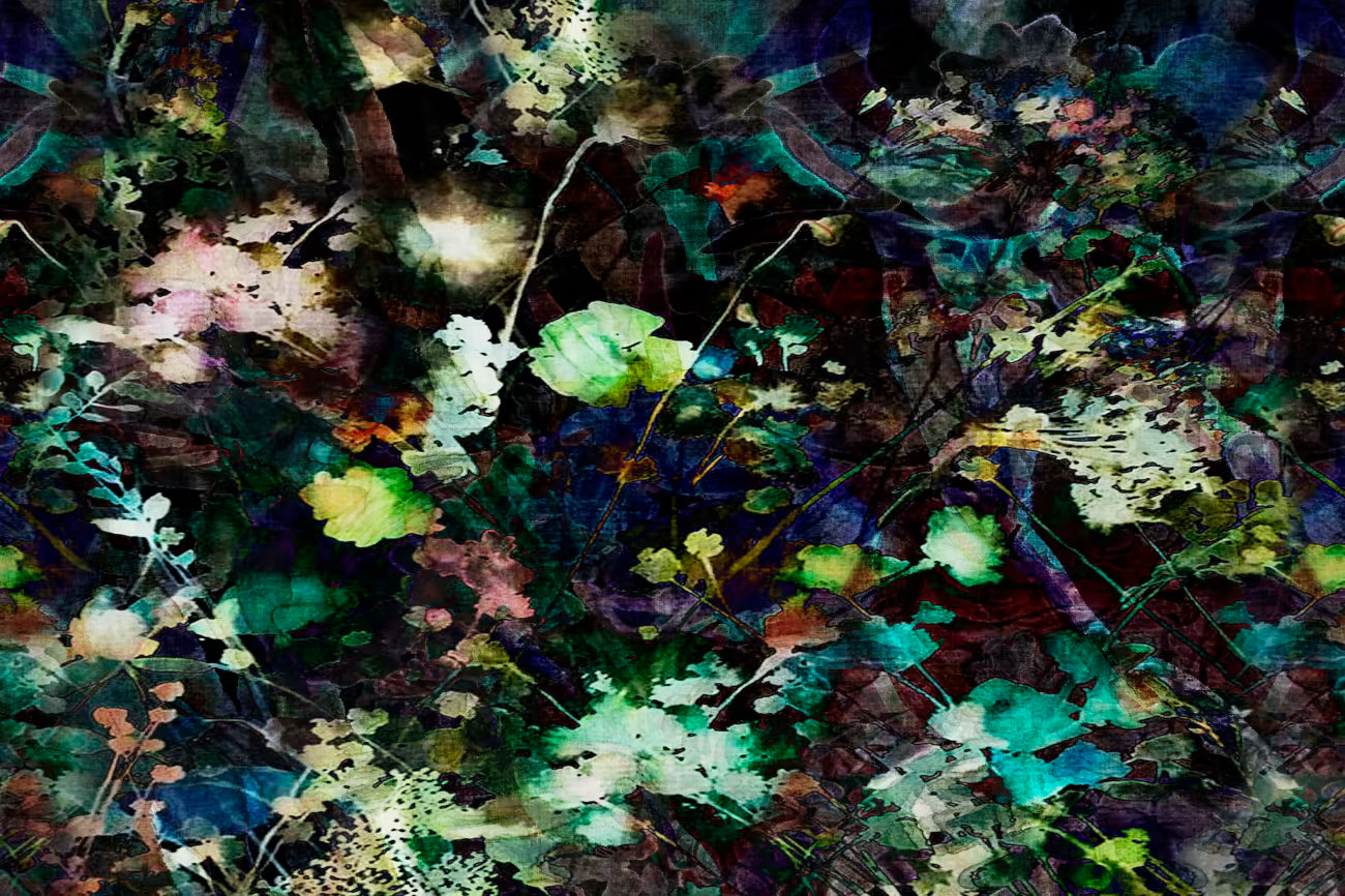 WALLPAPER
