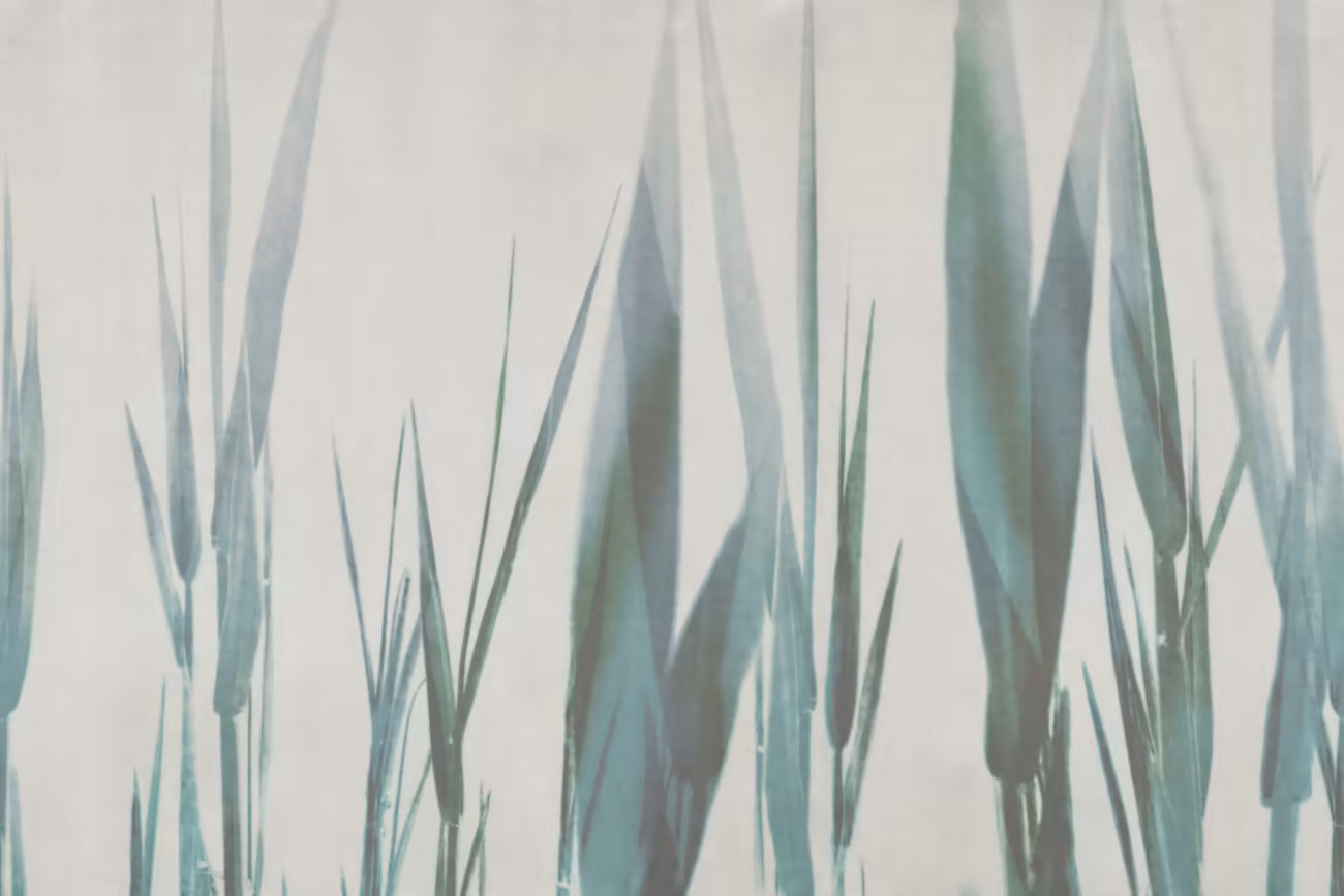 WALLPAPER